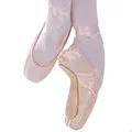 Aerial -- Pointe Shoe -- European Pink Satin